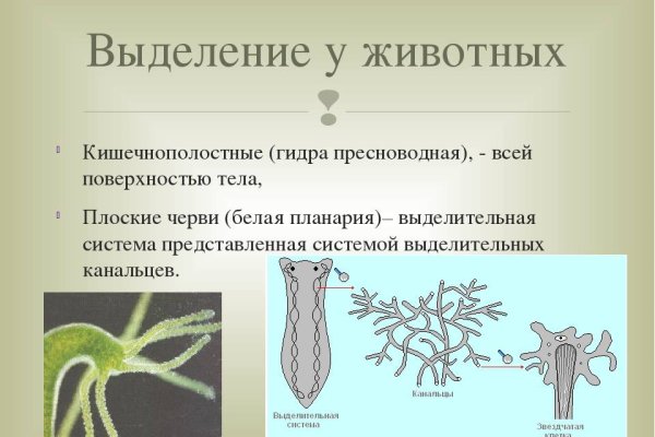 Как восстановить пароль на кракене